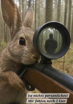 Hase.jpg