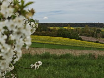 IMG_20250420_134607.jpg
