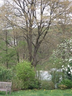 20250420_160106.jpg