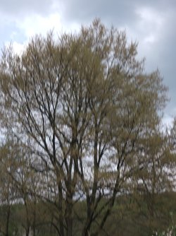 20250420_160057.jpg