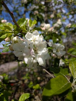 PXL_20250420_135711551.jpg
