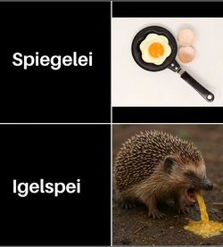 igel.jpeg