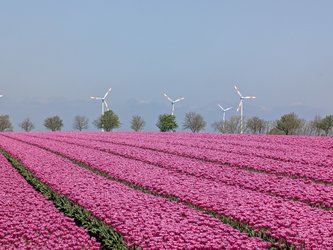 PXL_20250420_103903339.jpg