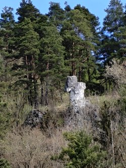 IMG20250420123306.jpg