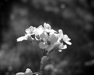 IMG_20250420_171544.jpg