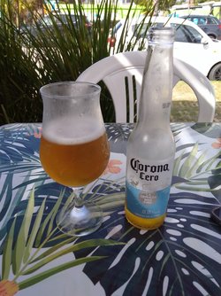 IMG_20250420_142949376.jpg