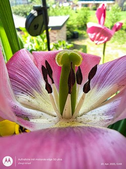 IMG_20250420_134842616_HDR.jpg