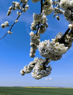 IMG_20250420_164558.jpg