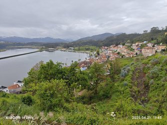 IMG_20250421_114500.jpg