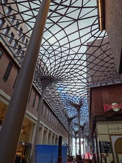 20250408_160732.JPG