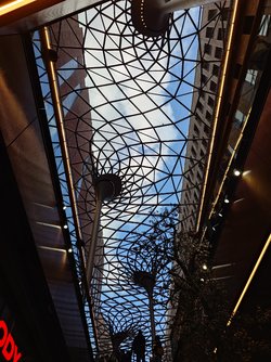20250408_163532.JPG