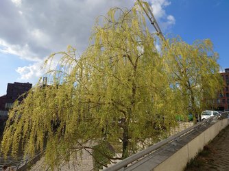 20250408_160138.JPG