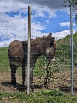 Gcam2 20250421_151413718.jpg