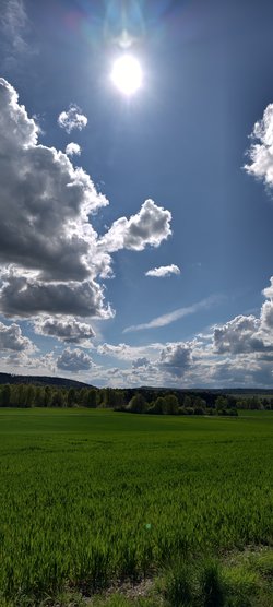 IMG_20250421_152546.jpg