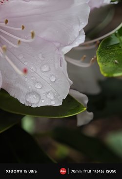 IMG_20250422_100144.jpg