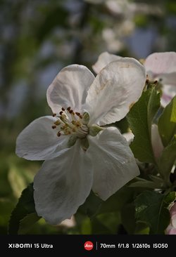 IMG_20250422_095953.jpg