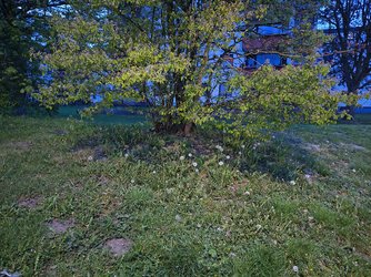 IMG_20250422_053109802_HDR.jpg