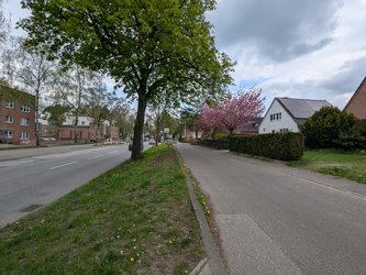 PXL_20250422_121020950.jpg