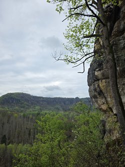 20250421_121613.jpg