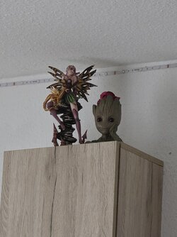 20250423_180400.jpg