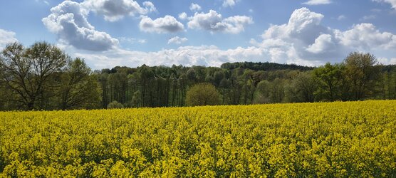 IMG_20250422_130620055_HDR.jpg