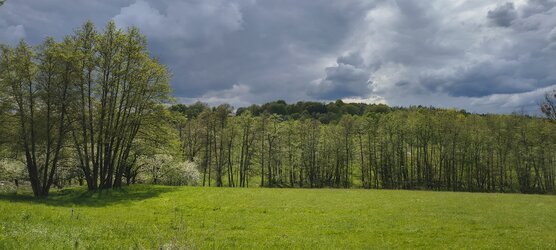 IMG_20250423_151514435_HDR.jpg