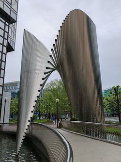 IMG_20250421_142025.jpg