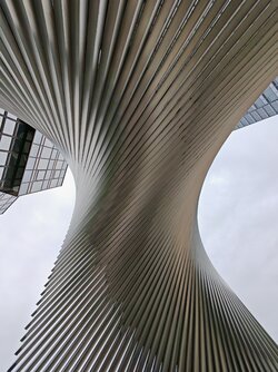 IMG_20250421_142226.jpg