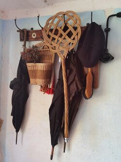 IMG_20250420_135655.jpg
