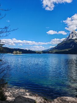 IMG_20250419_150022.jpg