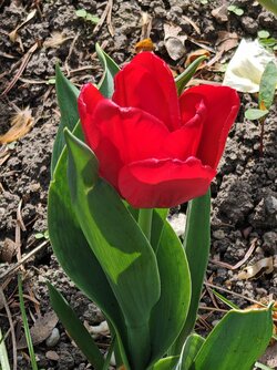 IMG_20250414_153205.jpg