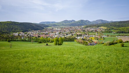 IMG_20250422_094813-Verbessert-RR-2.jpg