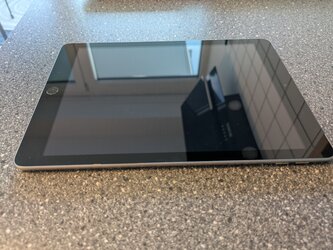 PXL_20250422_173401112.jpg