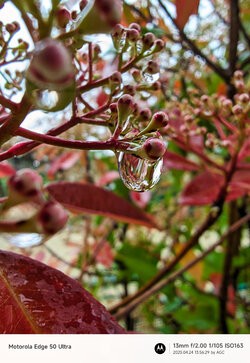 Gcam20250424_135629985.jpg