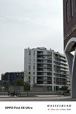 IMG20250424102200.jpg