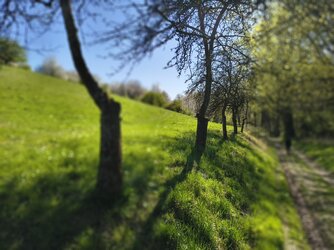 IMG_20250406_155221279_HDR.jpg