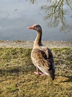 IMG_20250320_160938.jpg