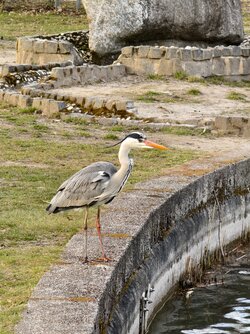 IMG_20250322_165124.jpg