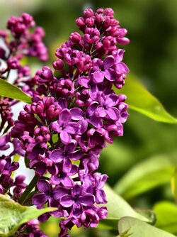 IMG_20250422_143331.jpg