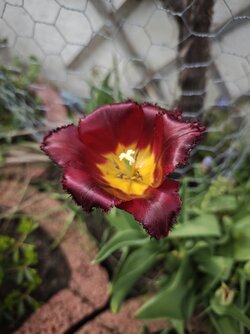 IMG_20250423_140929.jpg