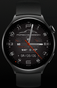 PorsheSlyLeV2W4w.watch4.gif