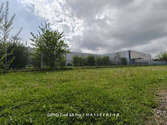 IMG20250425151745.jpg