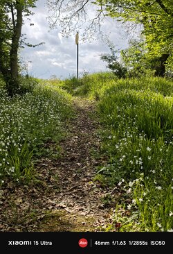 IMG_20250425_154917.jpg