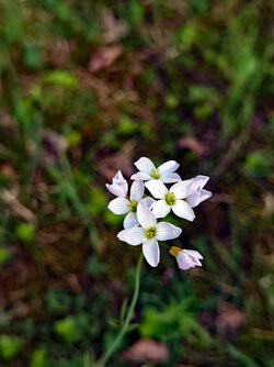 IMG_20250420_161930.jpg