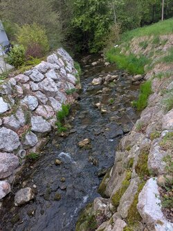 PXL_20250425_174716379.jpg