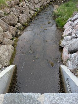 PXL_20250425_174444696.jpg