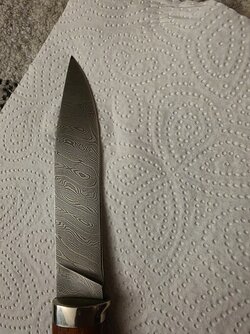 20250425_195538.jpg