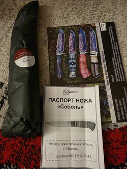 20250425_194836.jpg