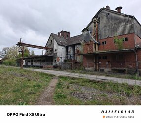 04_Oppo.jpg