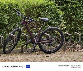 10_Vivo_30x.jpg